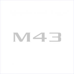 Mustang Cruiser M43 Decal