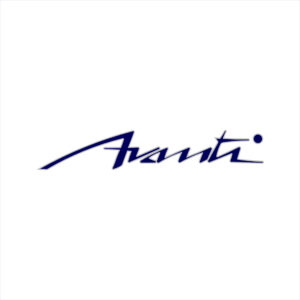 Bayliner Boats Avanti Graphic #2