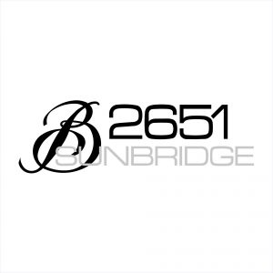 Bayliner Boats 2651 Sunbridge Decal