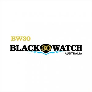 Black Watch 30 Old Decal Kit