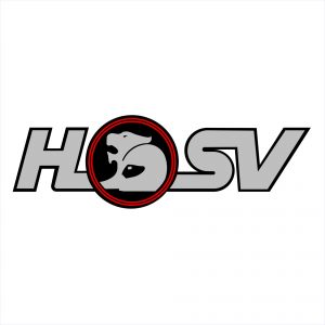 Holden HSV Decal #1
