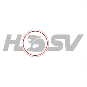 Holden HSV Decal #2