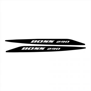 Ford Boss 290 Decal