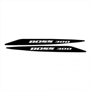 Ford Boss 300 Decal