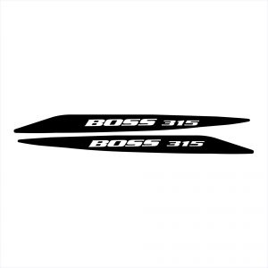 Ford Boss 315 Decal