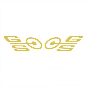 Ford GS Decal
