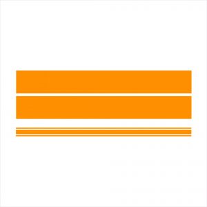 Mustang Stripe Decal Kit #2