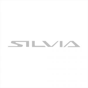 Nissan Silvia Name Decal