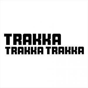 Volkswagon Trakka Decals