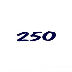 Sea Ray 250 Decal