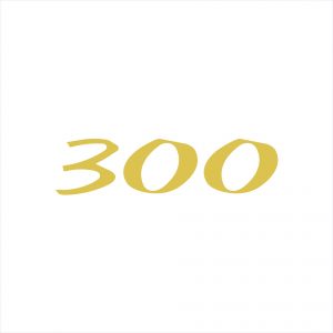 Sea Ray 300 Alternate Decal