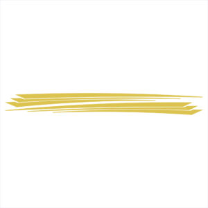Carver Boats Graphic Decal