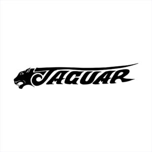 Hydrofield Jaguar Name Decal