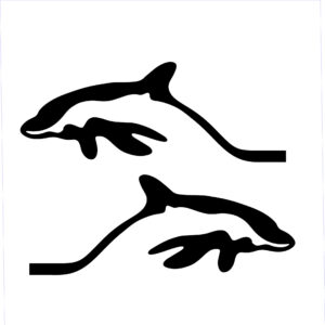 Privilege Logo Decal