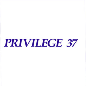 Privilege 37 Decal