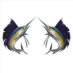 Marlin #5